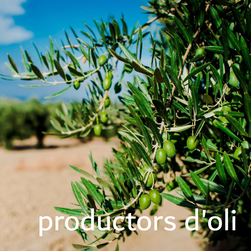 productors d'oli